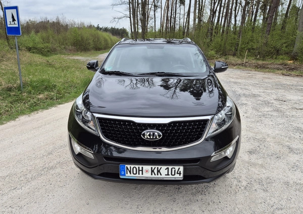 Kia Sportage cena 49900 przebieg: 180000, rok produkcji 2015 z Białobrzegi małe 497